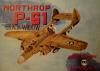 FLy-004     *     Northrop P-61 black widow (1:33)