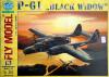 GOM-013           *                P-61 "Black widow"  (1:33)